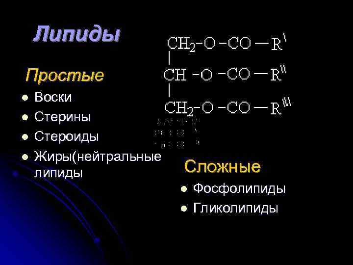 Липиды Простые l Воски l Стерины l Стероиды l Жиры(нейтральные липиды Сложные l Фосфолипиды