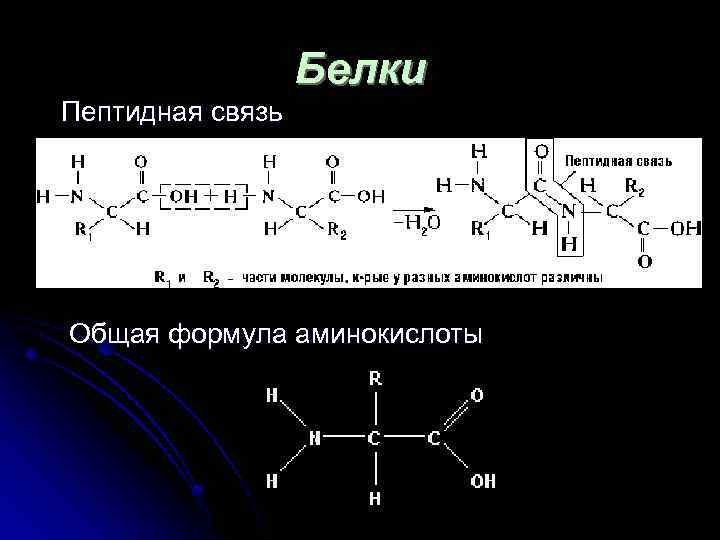 Белки Пептидная связь Общая формула аминокислоты 