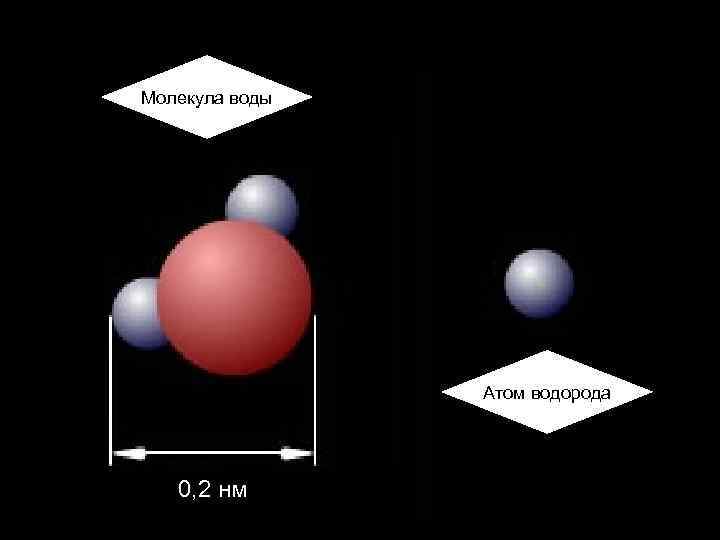 Молекула воды Атом водорода 0, 2 нм 