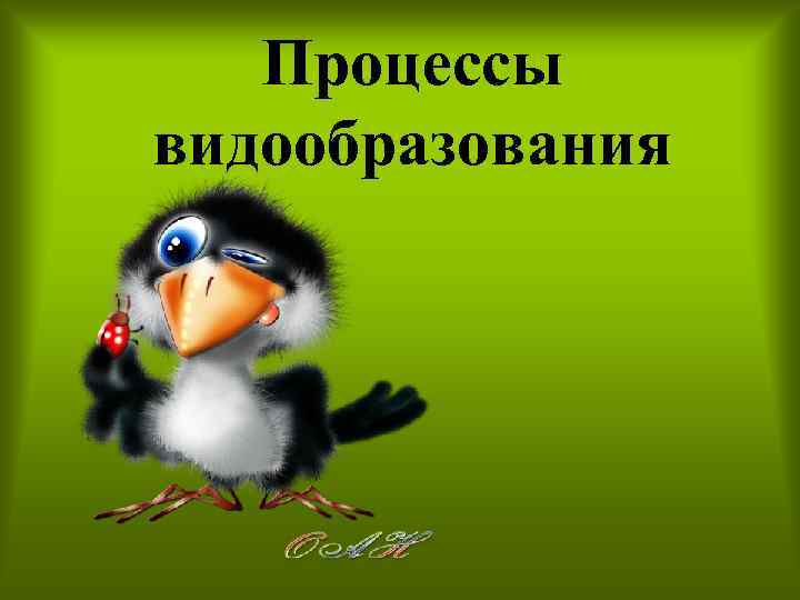 Процессы видообразования 