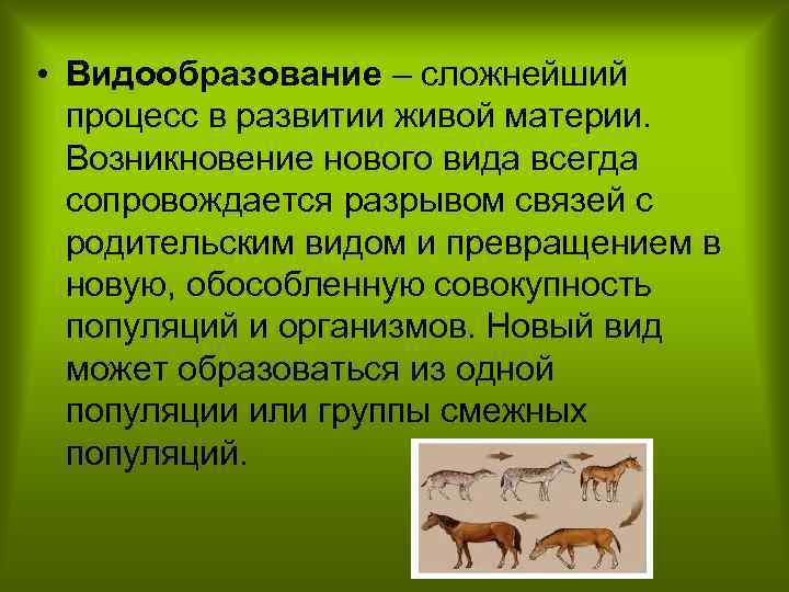  • Видообразование – сложнейший процесс в развитии живой материи. Возникновение нового вида всегда