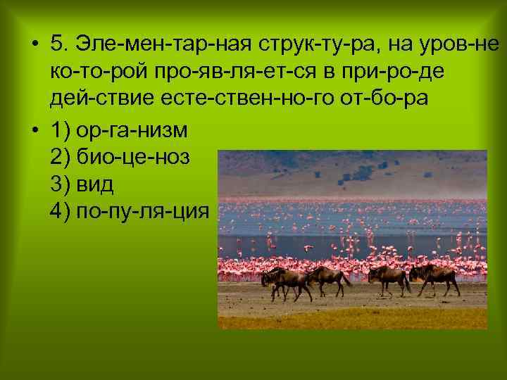  • 5. Эле мен тар ная струк ту ра, на уров не ко
