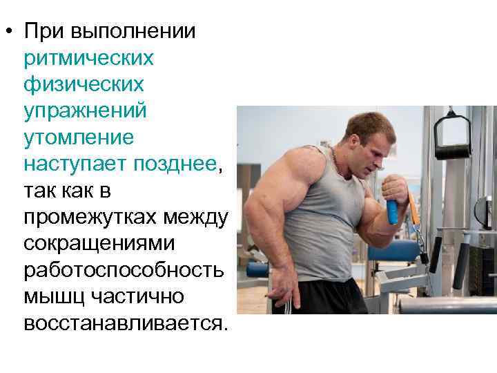  • При выполнении ритмических физических упражнений утомление наступает позднее, так как в промежутках
