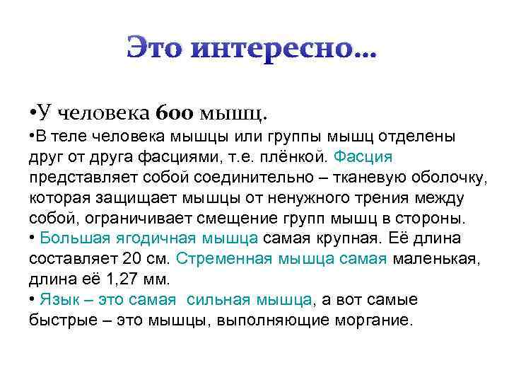 Это интересно… • У человека 600 мышц. • В теле человека мышцы или группы