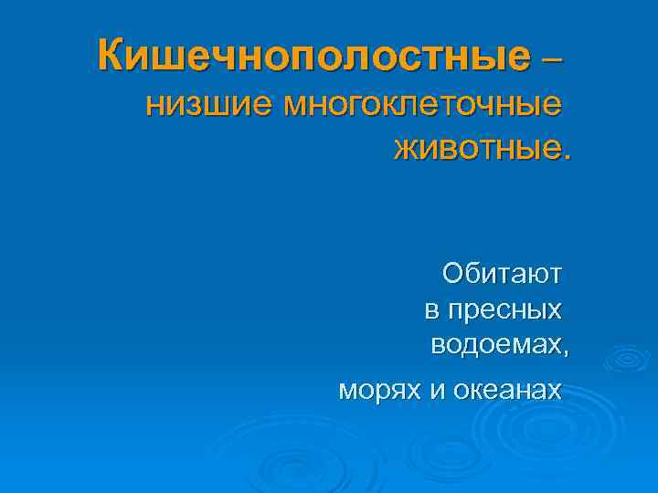 Кишечнополостные – низшие многоклеточные животные. Обитают в пресных водоемах, морях и океанах 