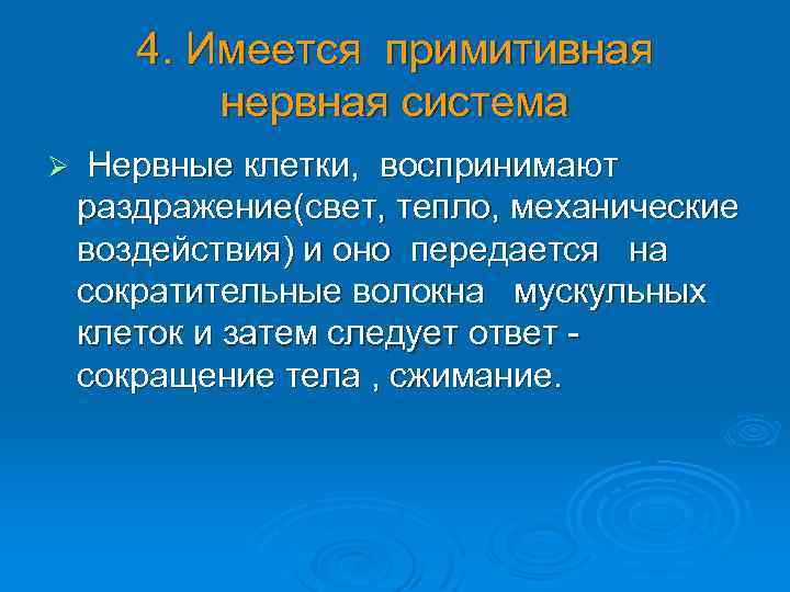 4. Имеется примитивная нервная система Ø Нервные клетки, воспринимают раздражение(свет, тепло, механические воздействия) и