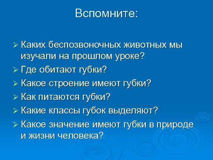 Вспомните: Ø Каких беспозвоночных животных мы изучали на прошлом уроке? Ø Где обитают губки?