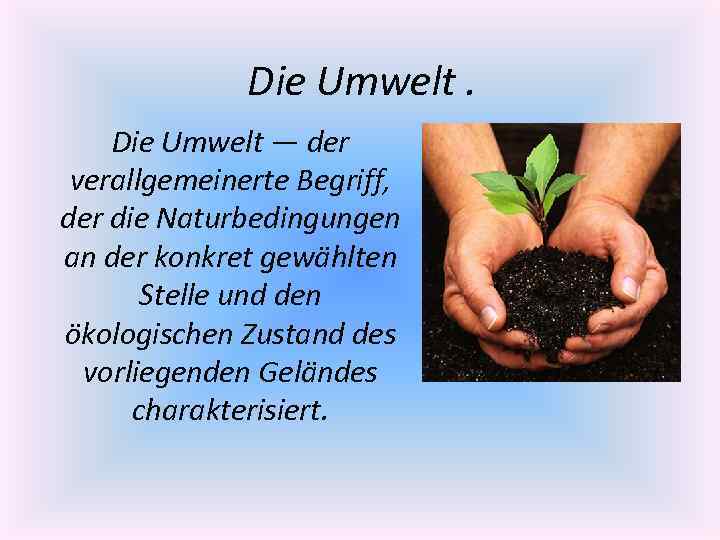Die Umwelt — der verallgemeinerte Begriff, der die Naturbedingungen an der konkret gewählten Stelle