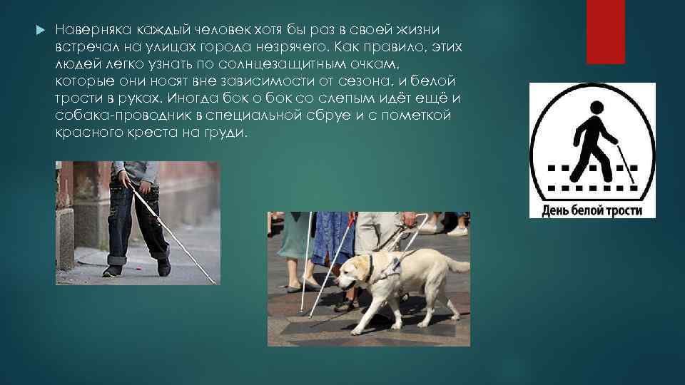 Наверняка каждый человек хотя бы раз в своей жизни встречал на улицах города