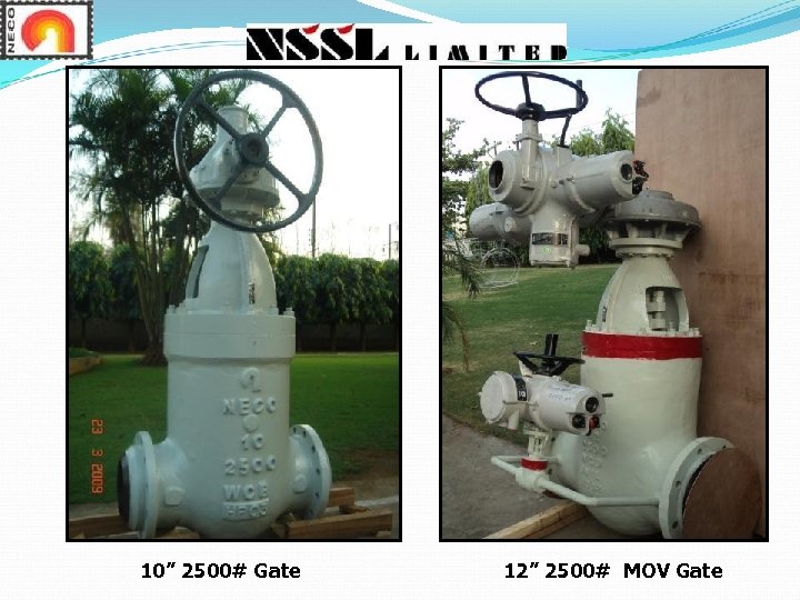 10” 2500# Gate 12” 2500# MOV Gate 