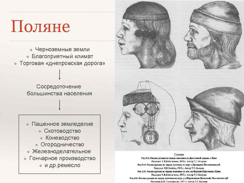 Поляне Черноземные земли ❖ Благоприятный климат Торговая «днепровская дорога» ❖ ❖ Сосредоточение большинства населения