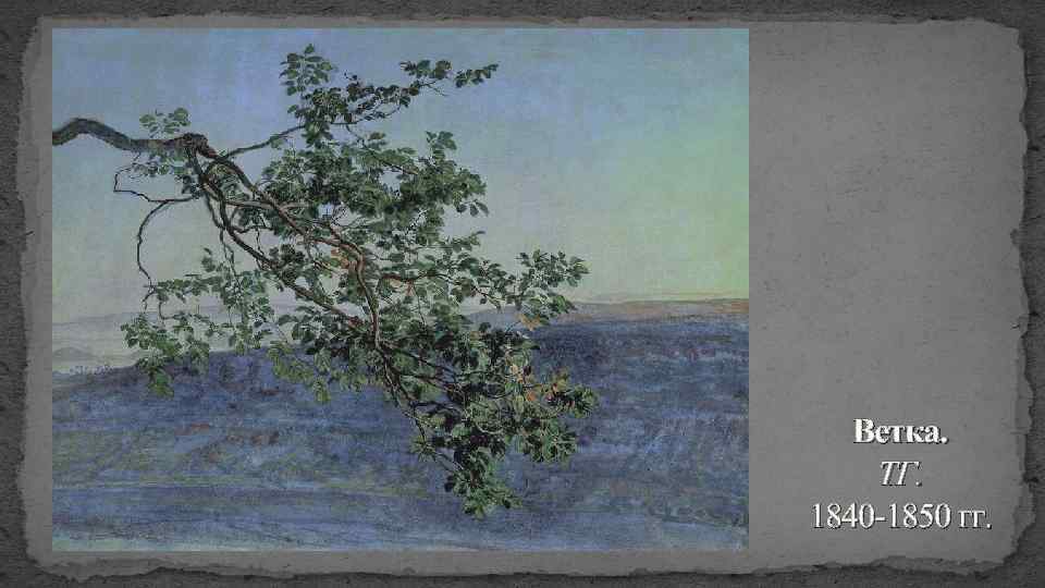  Ветка. ТГ. 1840 -1850 гг. 