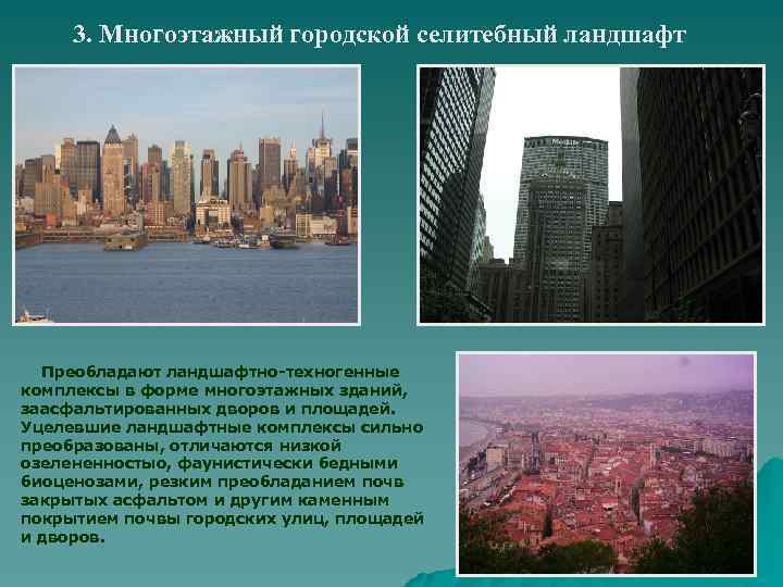 3. Многоэтажный городской селитебный ландшафт Преобладают ландшафтно-техногенные комплексы в форме многоэтажных зданий, заасфальтированных дворов