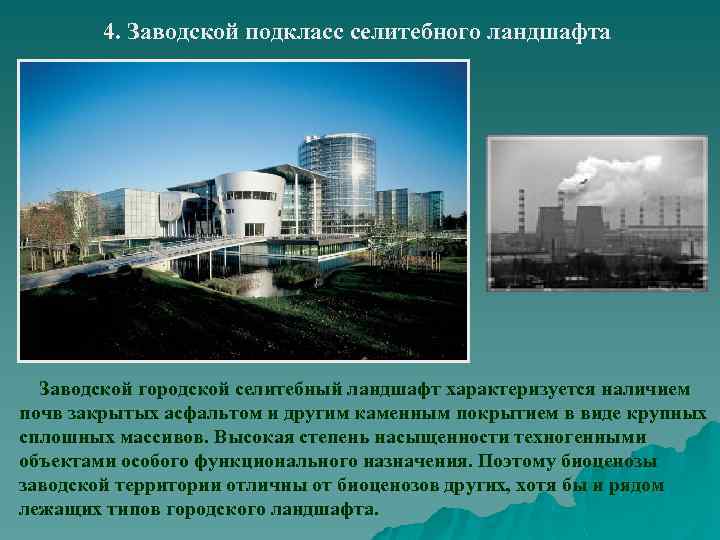 4. Заводской подкласс селитебного ландшафта Заводской городской селитебный ландшафт характеризуется наличием почв закрытых асфальтом