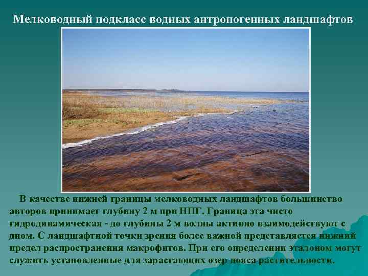 Мелководный подкласс водных антропогенных ландшафтов В качестве нижней границы мелководных ландшафтов большинство авторов принимает