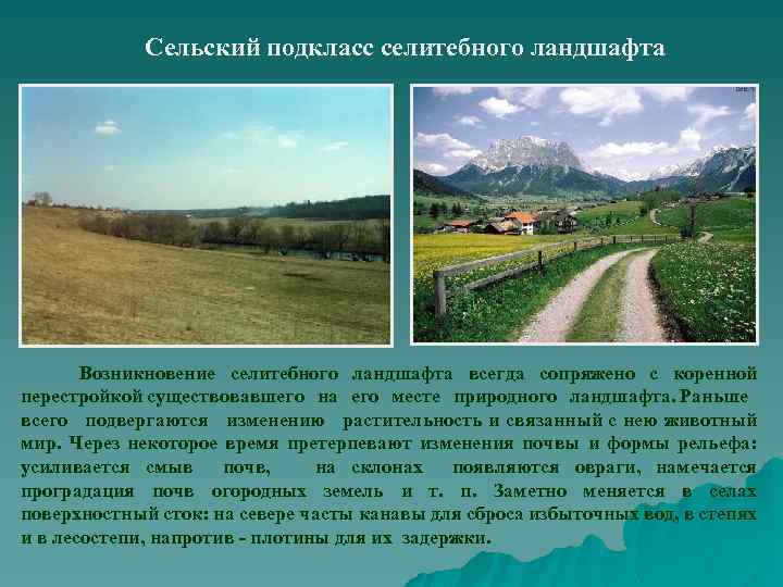 Сельский подкласс селитебного ландшафта Возникновение селитебного ландшафта всегда сопряжено с коренной перестройкой существовавшего на