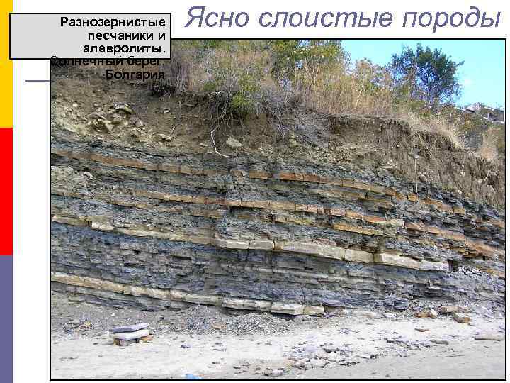 Разнозернистые песчаники и алевролиты. Солнечный берег, Болгария Ясно слоистые породы 