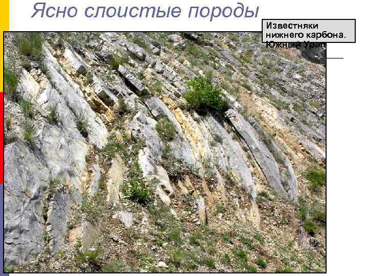 Ясно слоистые породы Известняки нижнего карбона. Южный Урал 