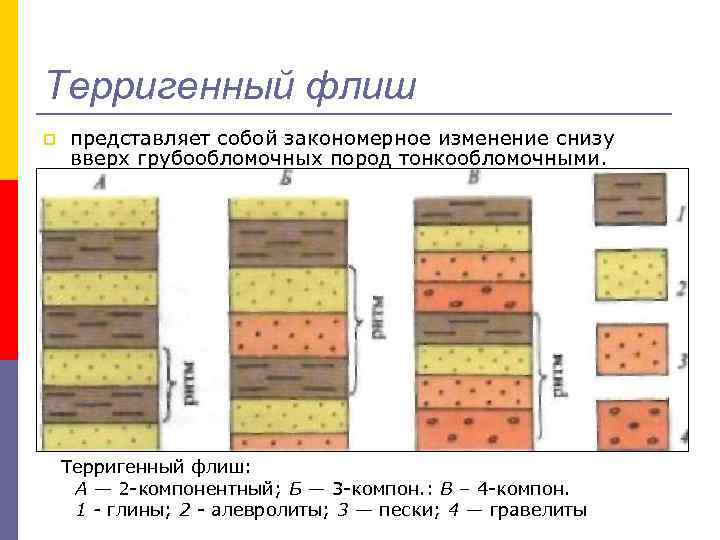 Терригенный флиш p представляет собой закономерное изменение снизу вверх грубообломочных пород тонкообломочными. Терригенный флиш:
