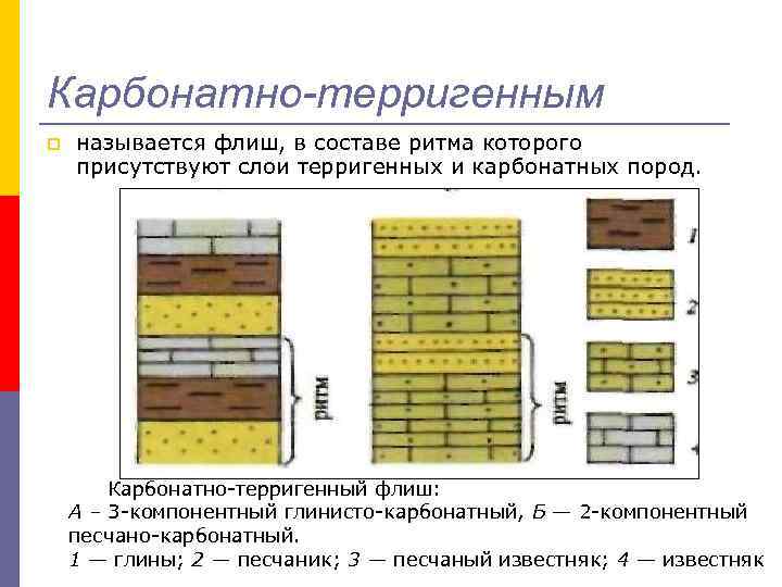 Карбонатно-терригенным p называется флиш, в составе ритма которого присутствуют слои терригенных и карбонатных пород.