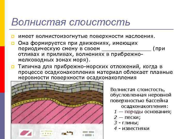 Волнистая слоистость p p p имеет волнистоизогнутые поверхности наслоения. Она формируется при движениях, имеющих