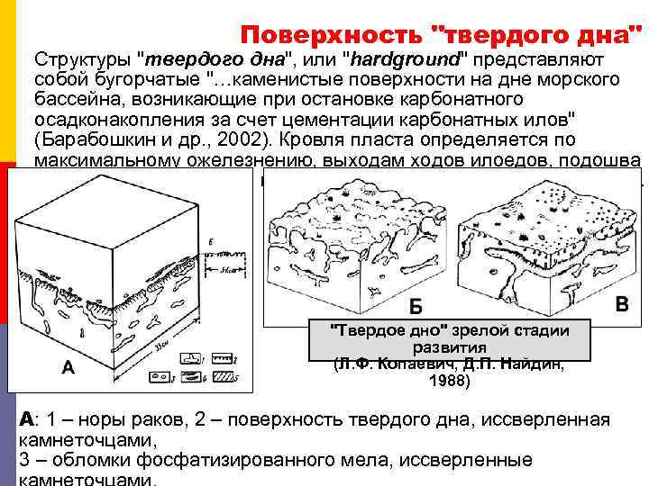 Поверхность 
