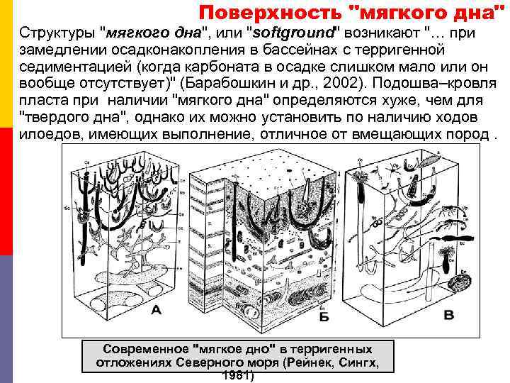 Поверхность 