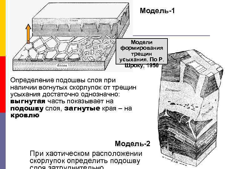 Модель-1 Модели формирования трещин усыхания. По Р. Шроку, 1950 Определение подошвы слоя при наличии