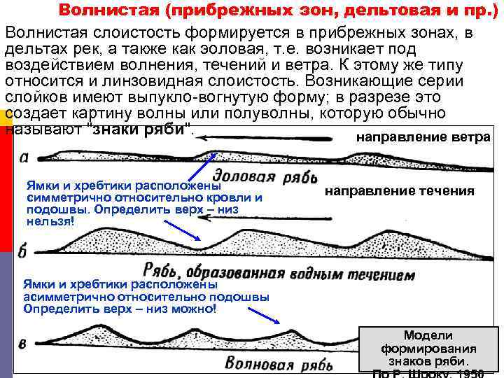 Волнистая (прибрежных зон, дельтовая и пр. ) Волнистая слоистость формируется в прибрежных зонах, в