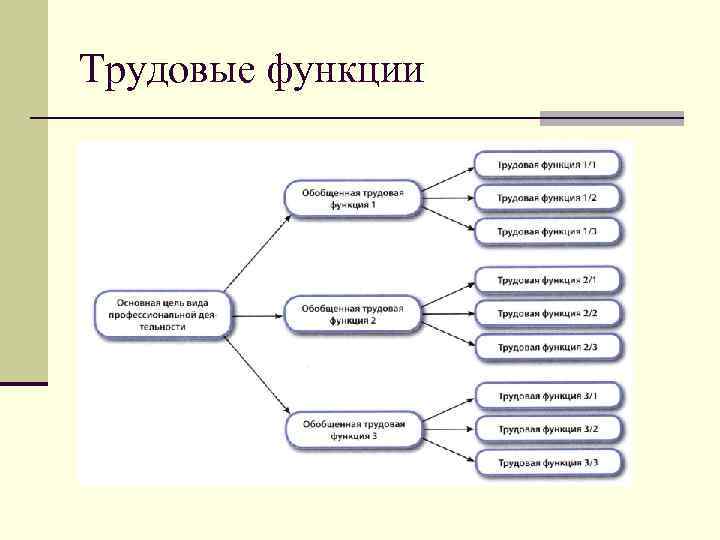 Трудовые функции 