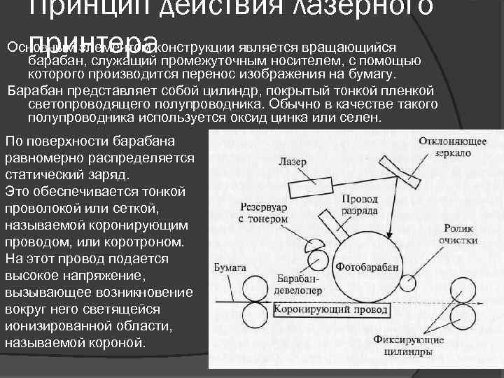 Принцип действия лазерного Основным элементом конструкции является вращающийся принтера барабан, служащий промежуточным носителем, с