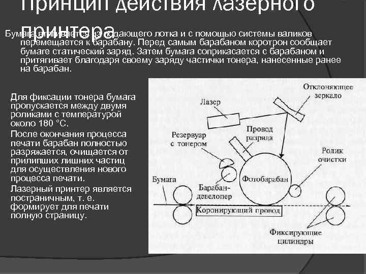 Принцип действия лазерного принтера Бумага втягивается из подающего лотка и с помощью системы валиков