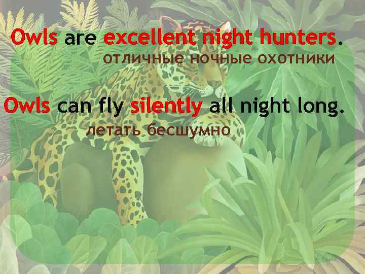 Owls are excellent night hunters. отличные ночные охотники Owls can fly silently all night