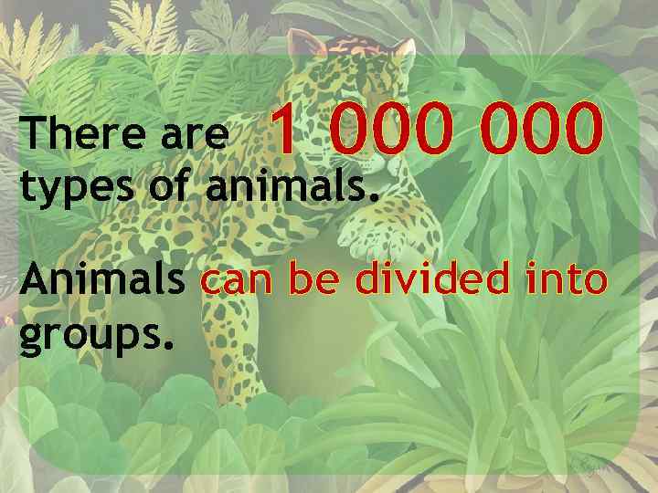 1 000 There are types of animals. Animals can be divided into groups. 