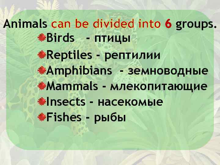 Animals can be divided into 6 groups. Birds - птицы Reptiles - рептилии Amphibians