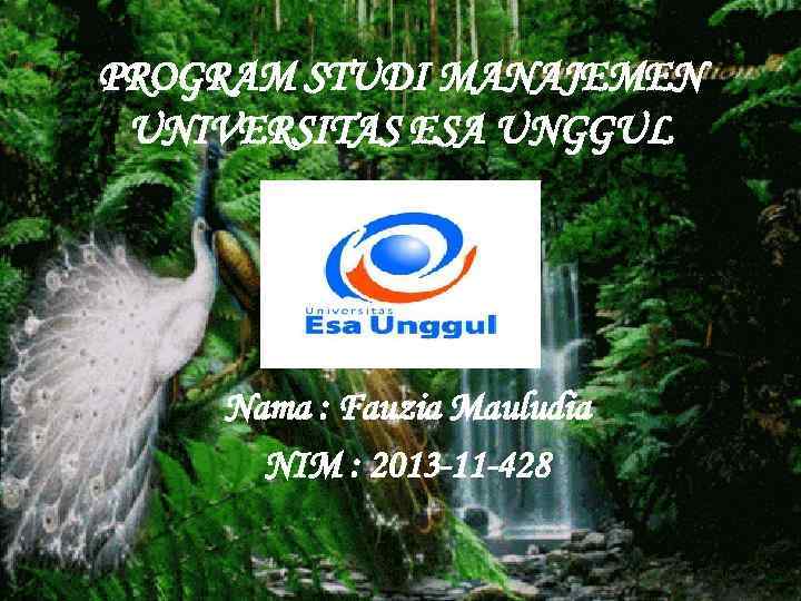 PROGRAM STUDI MANAJEMEN UNIVERSITAS ESA UNGGUL Nama : Fauzia Mauludia NIM : 2013 -11