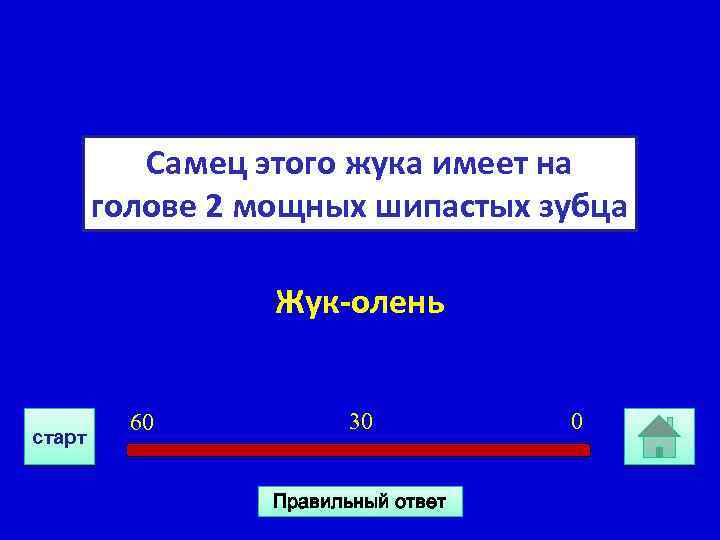 Самец этого жука имеет на голове 2 мощных шипастых зубца Жук-олень старт 60 30