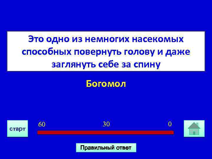 Это одно из немногих насекомых способных повернуть голову и даже заглянуть себе за спину