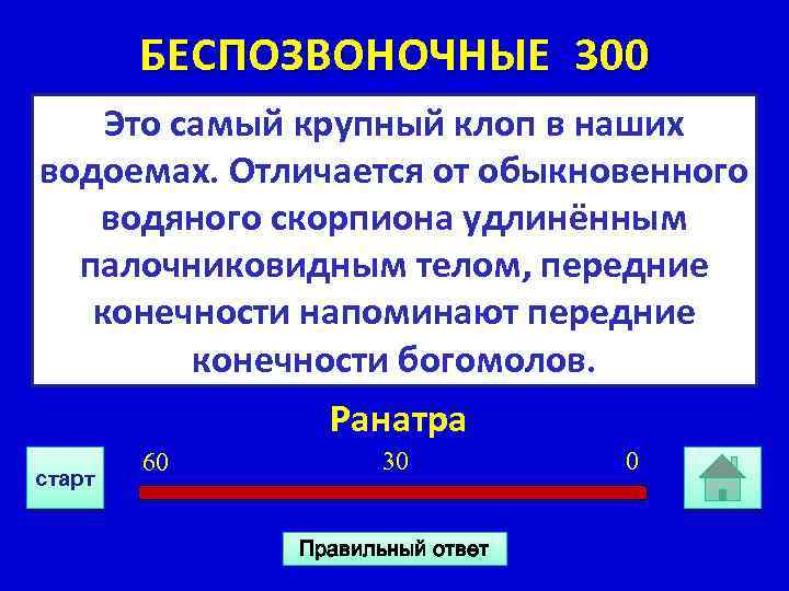 БЕСПОЗВОНОЧНЫЕ 300 Это самый крупный клоп в наших водоемах. Отличается от обыкновенного водяного скорпиона