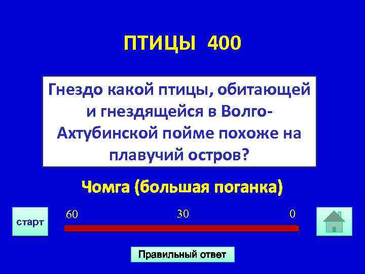 ПТИЦЫ 400 Гнездо какой птицы, обитающей и гнездящейся в Волго. Ахтубинской пойме похоже на
