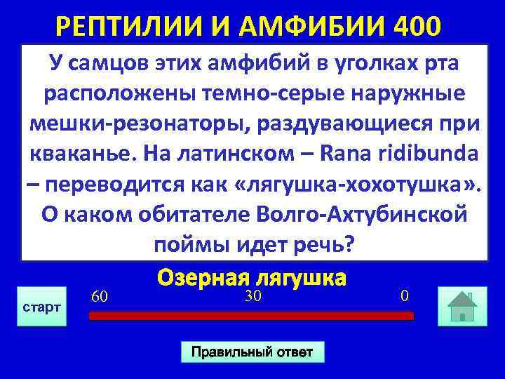 РЕПТИЛИИ И АМФИБИИ 400 У самцов этих амфибий в уголках рта расположены темно-серые наружные