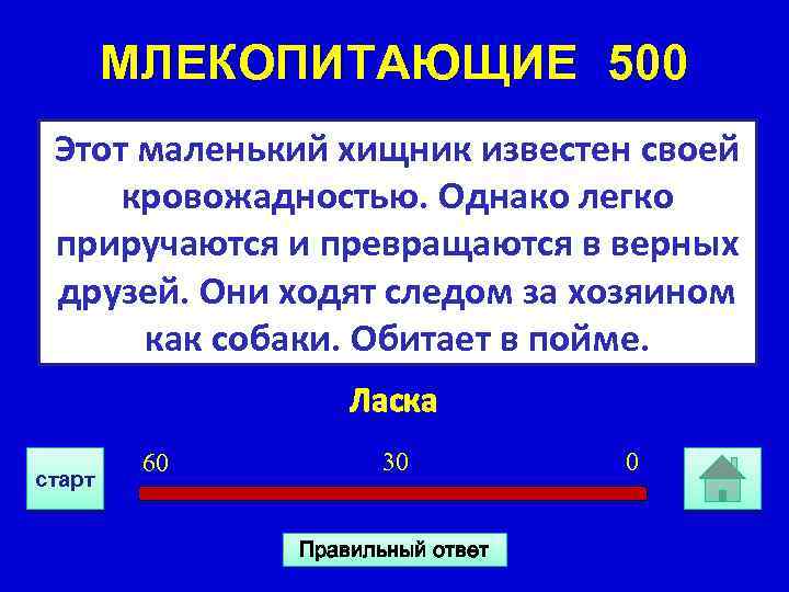 МЛЕКОПИТАЮЩИЕ 500 Этот маленький хищник известен своей кровожадностью. Однако легко приручаются и превращаются в