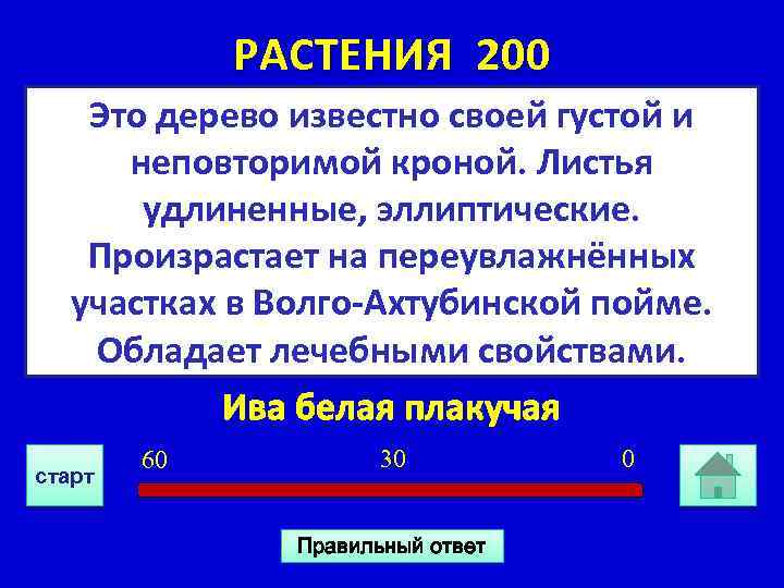 РАСТЕНИЯ 200 Это дерево известно своей густой и неповторимой кроной. Листья удлиненные, эллиптические. Произрастает