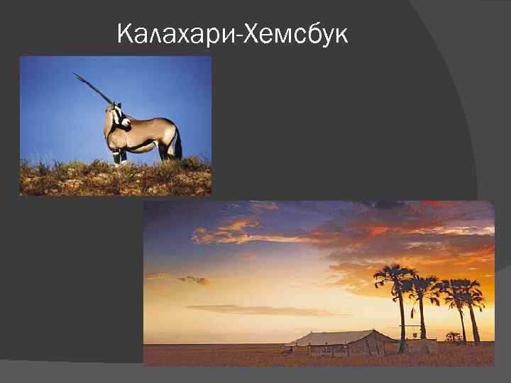 Калахари-Хемсбук 