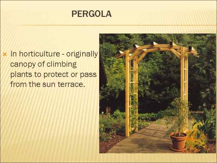 PERGOLA In horticulture - originally canopy of climbing plants to protect or pass from