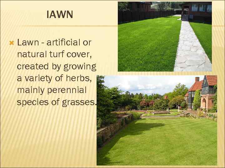 IAWN Lawn - artificial or natural turf cover, created by growing a variety of