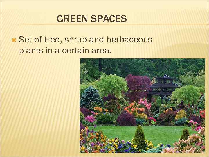 GREEN SPACES Set of tree, shrub and herbaceous plants in a certain area. 