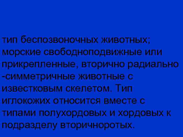 тип беспозвоночных животных; морские свободноподвижные или прикрепленные, вторично радиально -симметричные животные с известковым скелетом.
