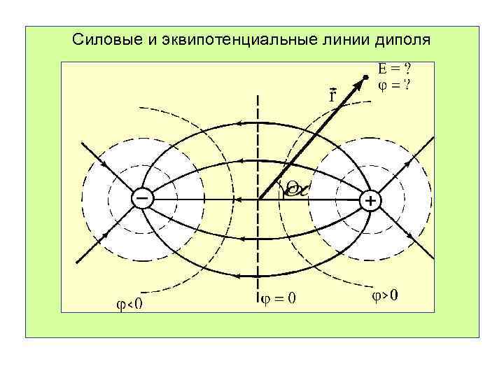 Силовые и эквипотенциальные линии диполя 