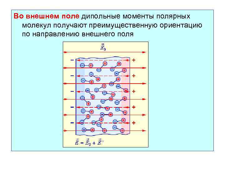 Во внешнем поле дипольные моменты полярных молекул получают преимущественную ориентацию по направлению внешнего поля